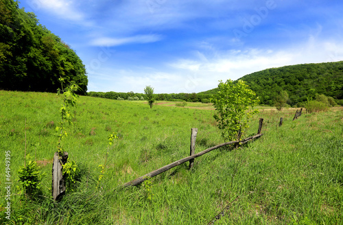 wooden fence on green meadow