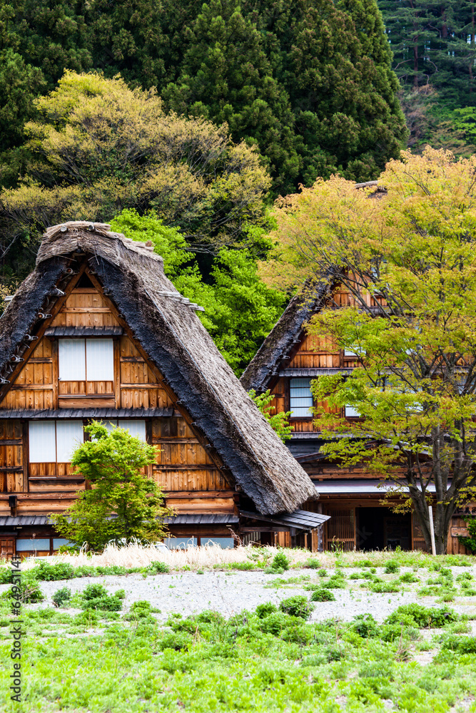 Traditional,Historical Japanese village Ogimachi,Shirakawa-go