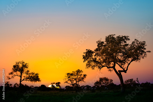 Sunset in Kruger park  South Africa