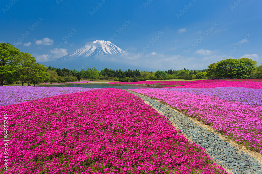 Naklejka premium Fuji with Pink Moss