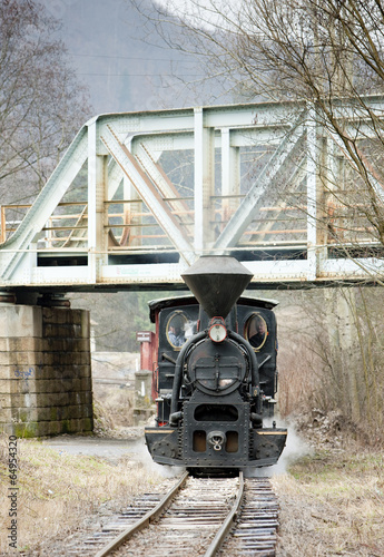 steam train, Ciernohronska Railway, Slovakia photo