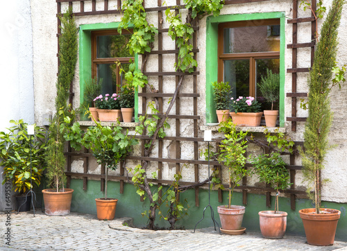 Fototapeta Naklejka Na Ścianę i Meble -  Altes Haus mit Rankgitter und Kübelpflanzen aus Terracotta