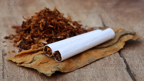 Tobacco and cigarette photo