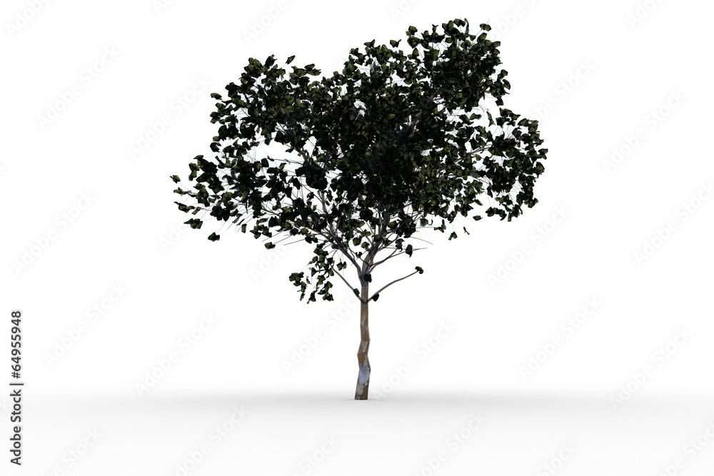 Obraz premium Tree with green leaves growing