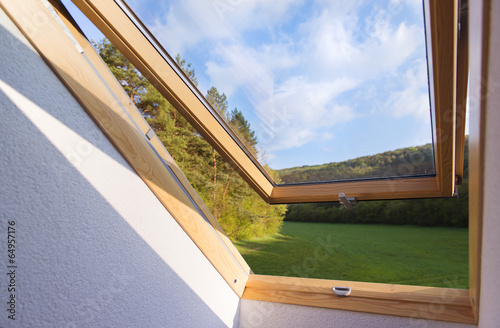 Canvas Print Skylight window