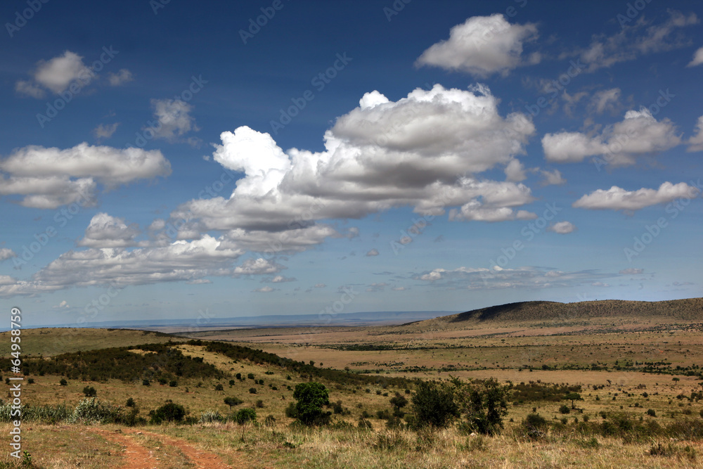Fototapeta premium Masai Mara National Park