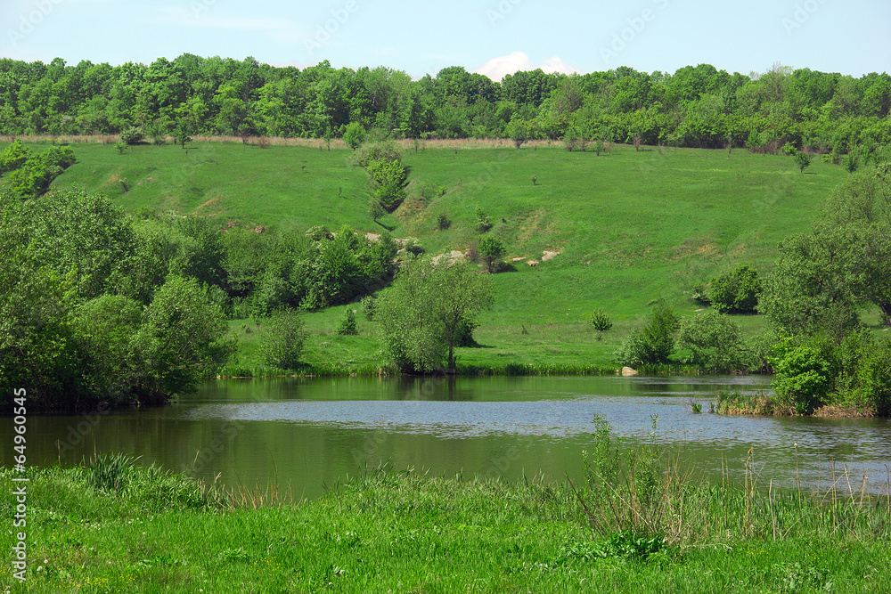 landscape of a green grassy hills, valley, trees, river and sky landscape of a green grassy hills, valley, trees, river and sky