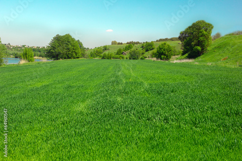 landscape of a green grassy valley, trees, hills and blue sky an