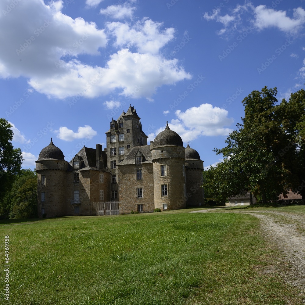 Fototapeta premium CHATEAU D'AYNAC
