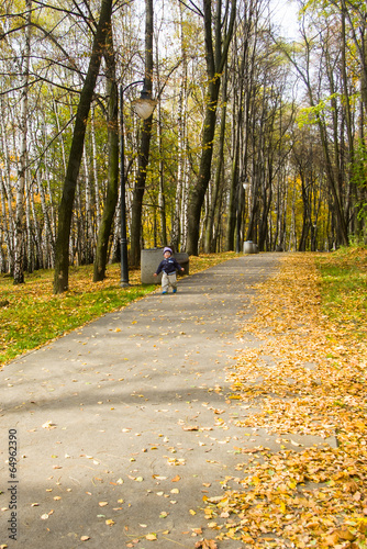 Boy in autumn park