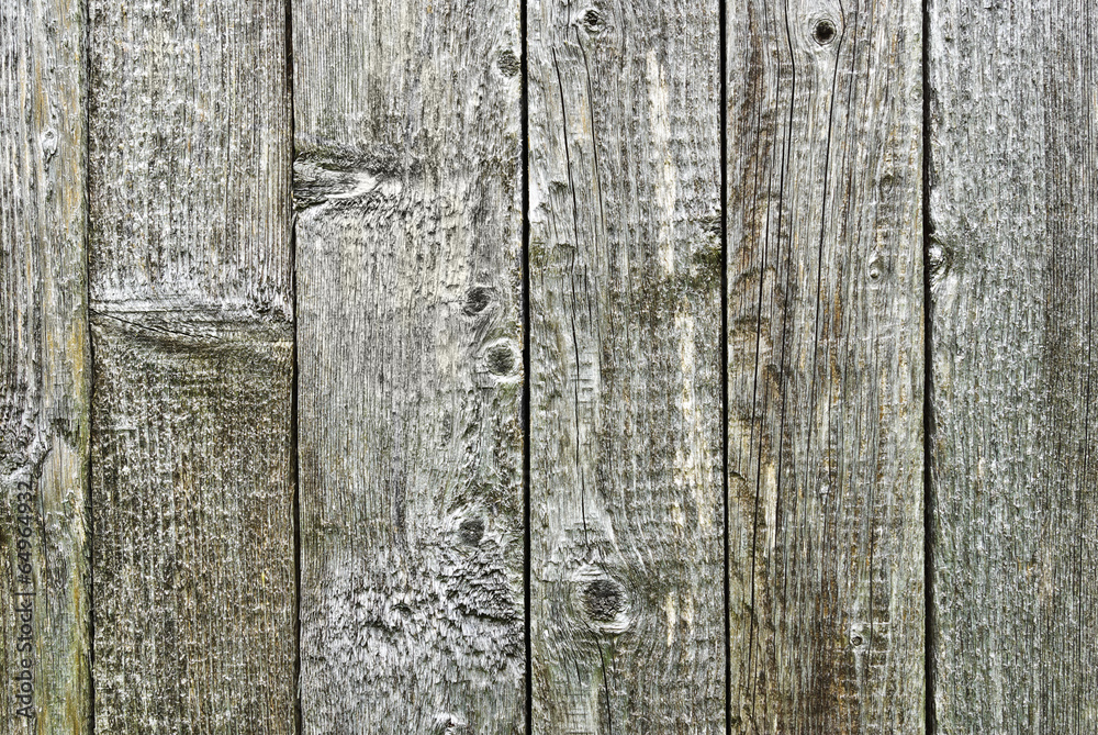 Fototapeta premium The texture of the old wooden boards.
