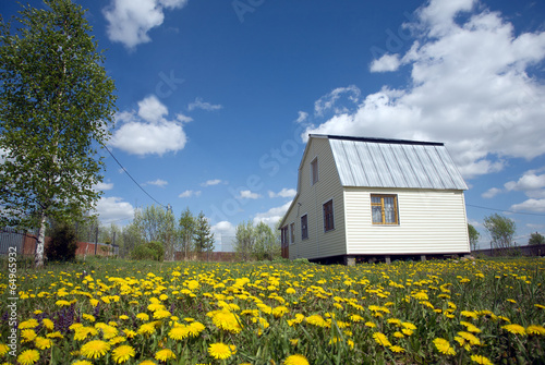 Nice suburban house on lawn with yellow dandelions