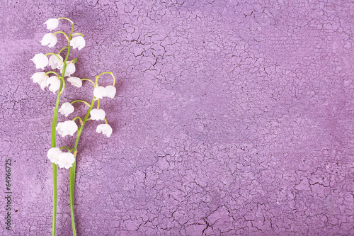 Fototapeta Naklejka Na Ścianę i Meble -  Beautiful lilies of the valley on old wooden background