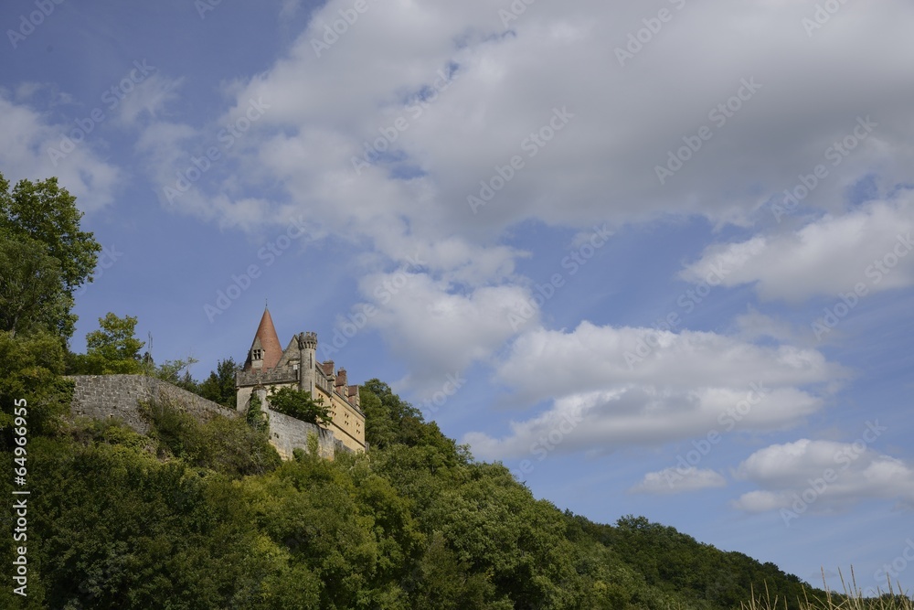 Chateau de Puymartin Chateau de Puymartin
