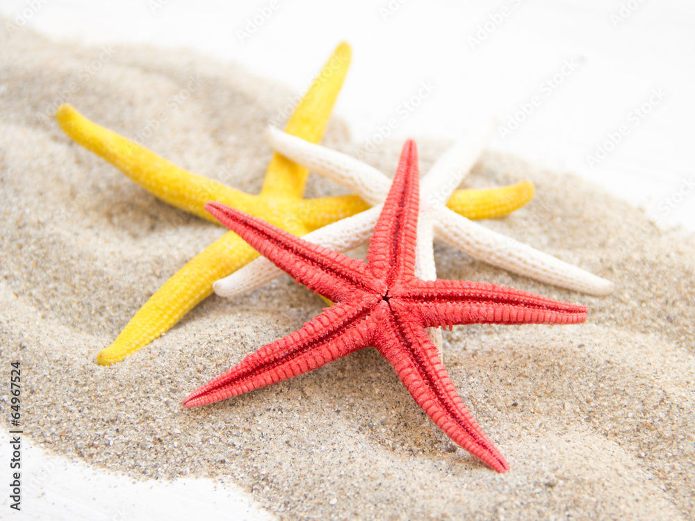 Starfishes on sand Starfishes on sand