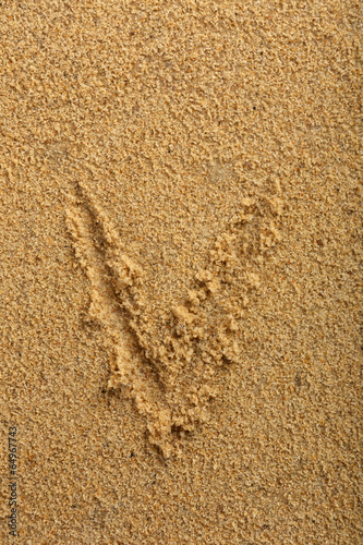 Alphabet letter written on wet beach sand