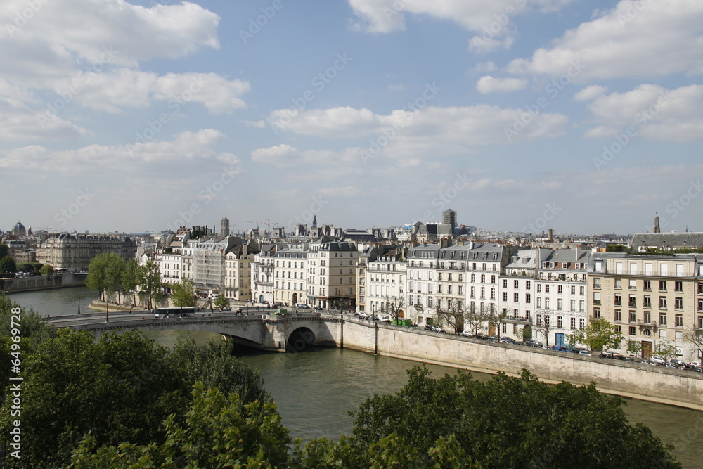 Naklejka premium La Seine à Paris
