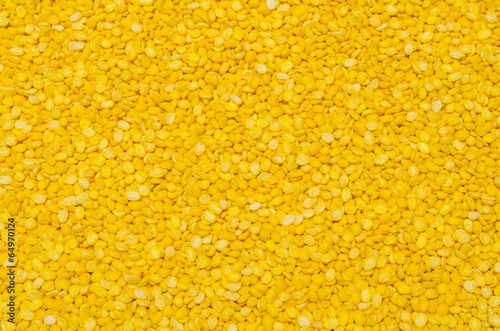 soybean soybean