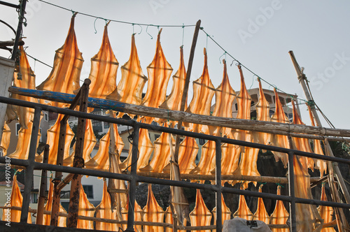 Dried fish in Camara de Lobos port