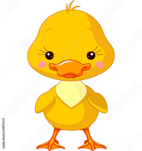 Farm animals. Duck