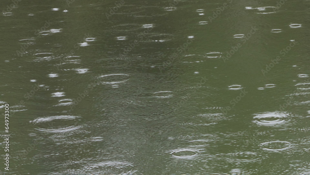 Drops of a rain fall in water Drops of a rain fall in water