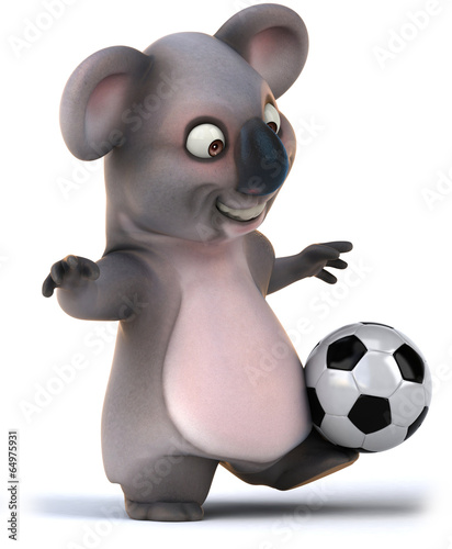 Canvas Print Koala