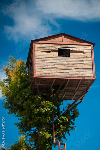 Treehouse