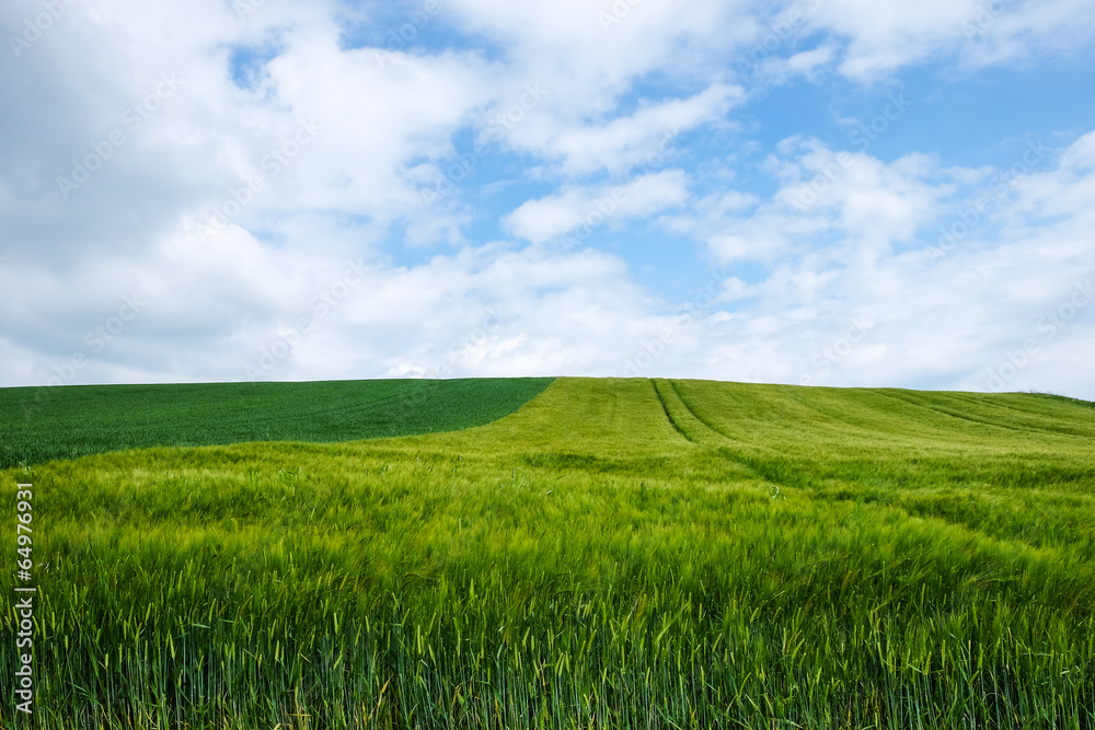 Fototapeta premium Landschaft Landwirtschaft