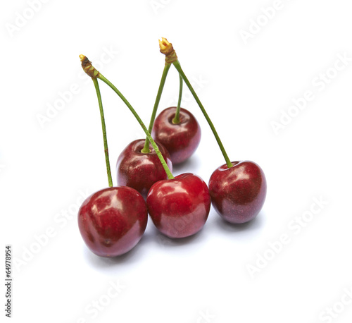 Time for cherries Harvest © pbombaert