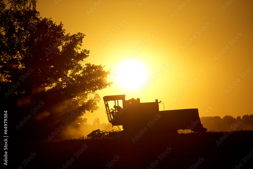 Fototapeta premium Machines for harvesting in from the sun