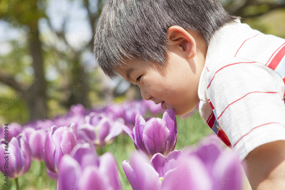 チューリップの匂いをかぐ子供