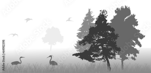 birds in gray forest illustration