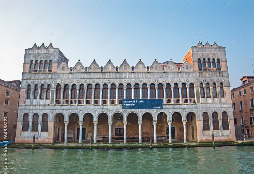 Fototapeta premium Venice - Museo di Storia Naturale - Museum of Nature