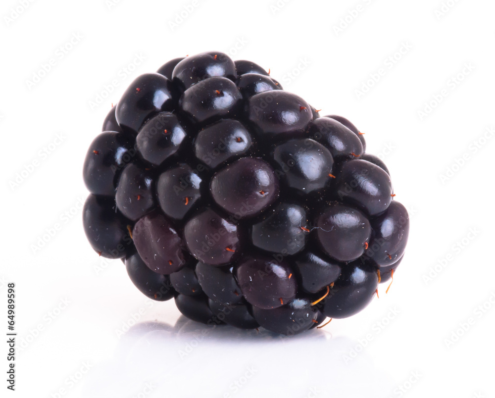 blackberry isolated on a white background