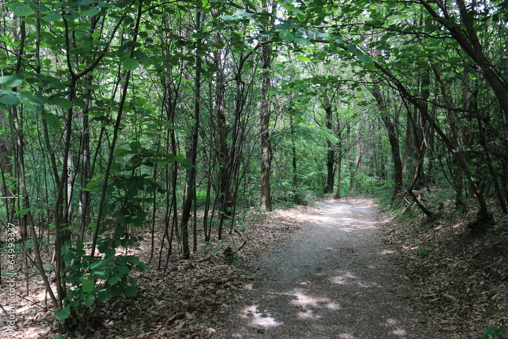 parco del Lura - Guanzate