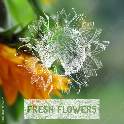 Fototapeta Naklejka Na Ścianę i Meble -  Fresh flowers poster