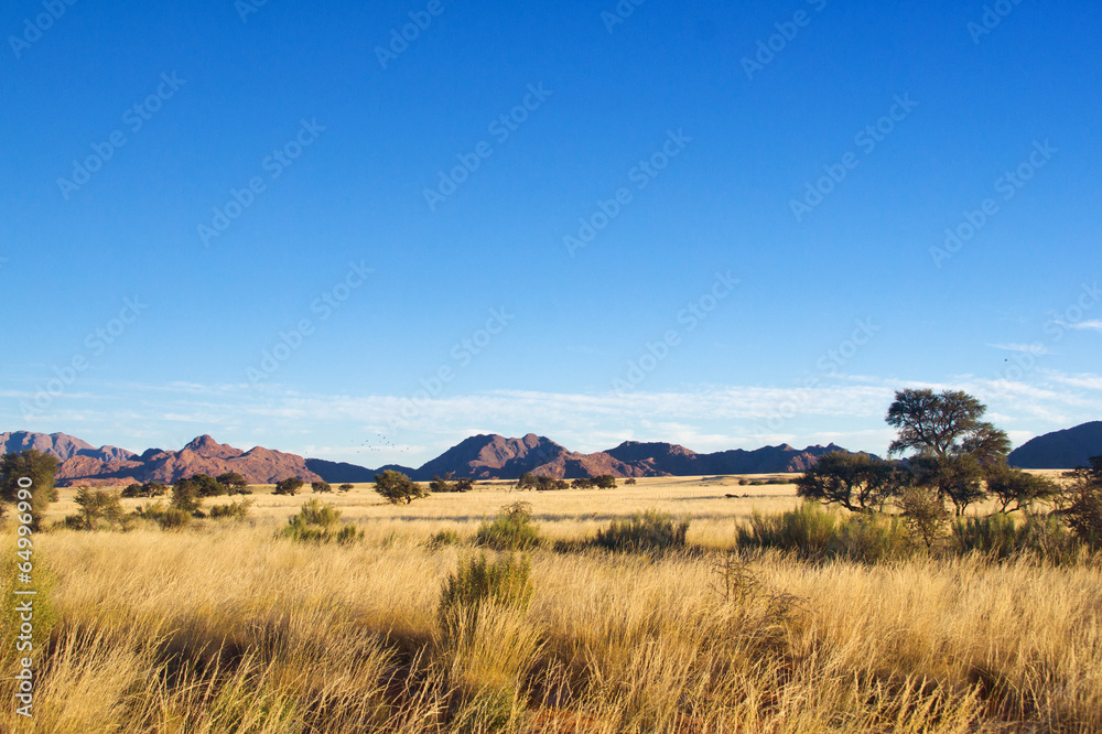 Naklejka premium Afrykański sawanna krajobraz, Namibia, Południowa Afryka