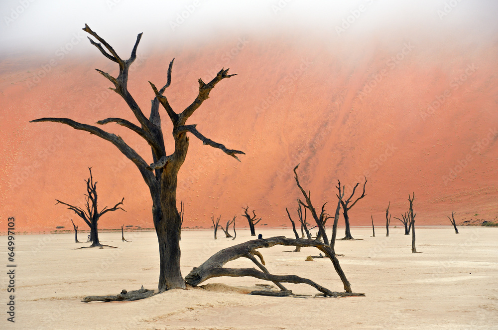 Dead Vlei, Sossusvlei, Namib desert, Namibia, Africa Dead Vlei, Sossusvlei, Namib desert, Namibia, Africa
