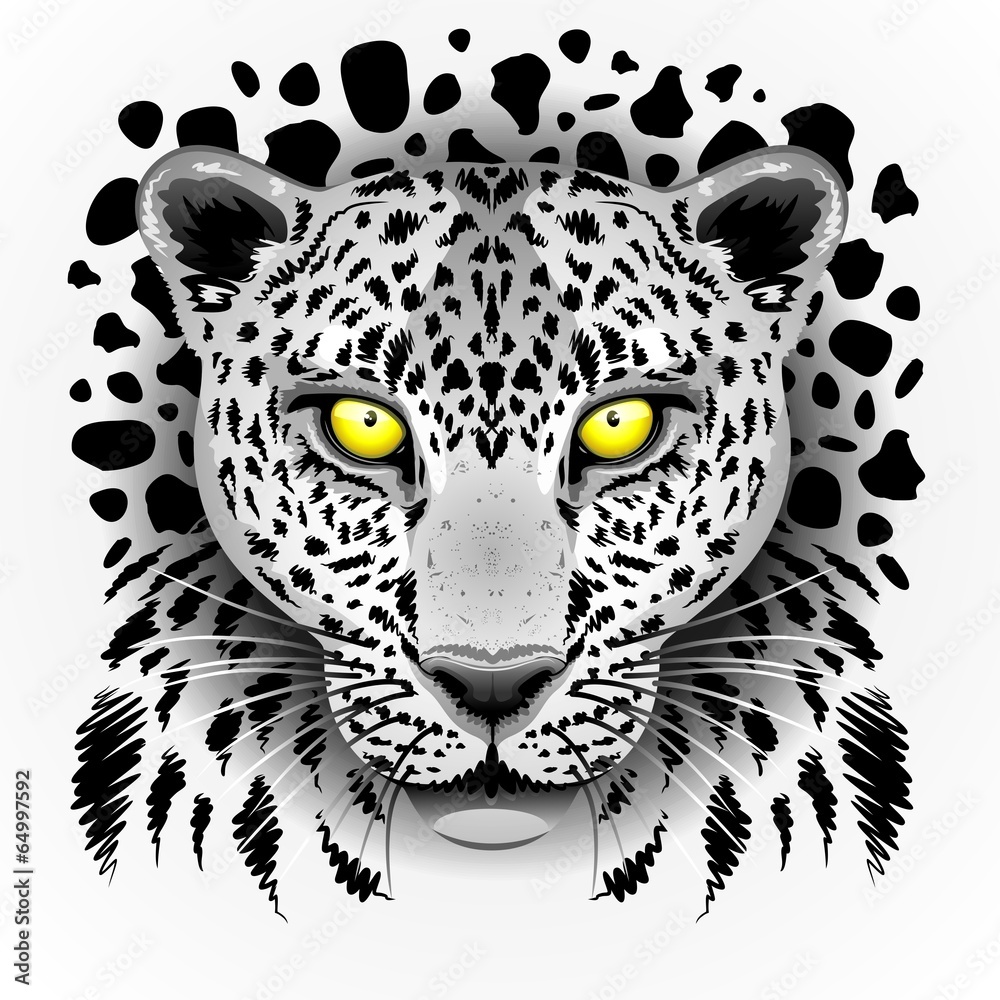 Obraz premium White Leopard with Yellow Eyes