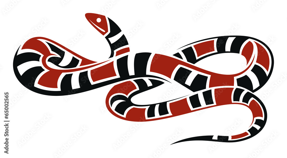 Fototapeta premium Scarlet King Snake