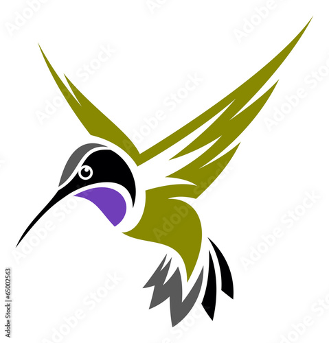 Black-chinned Hummingbird