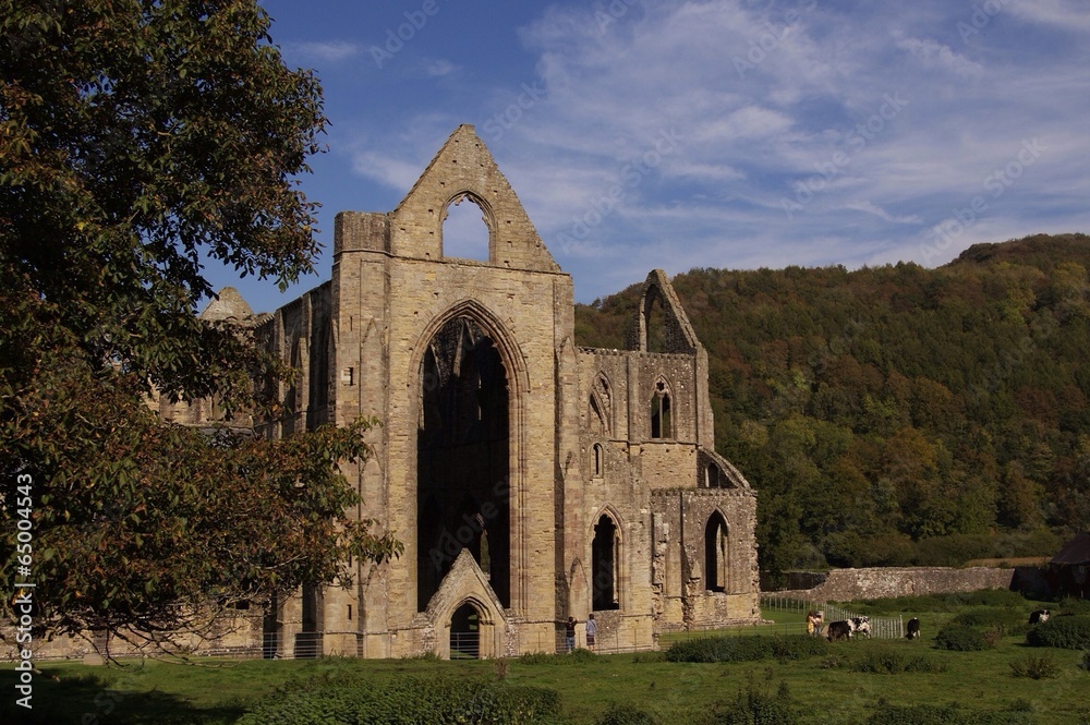 The ruins of medieval church
