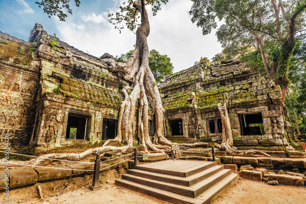 Fototapeta premium Ta Prohm Temple, Angkor, Cambodia