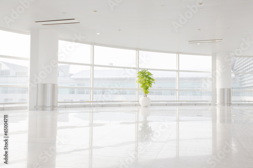 large window into white office