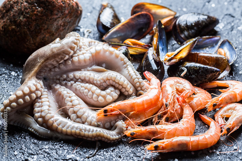 Three kinds of fresh seafood