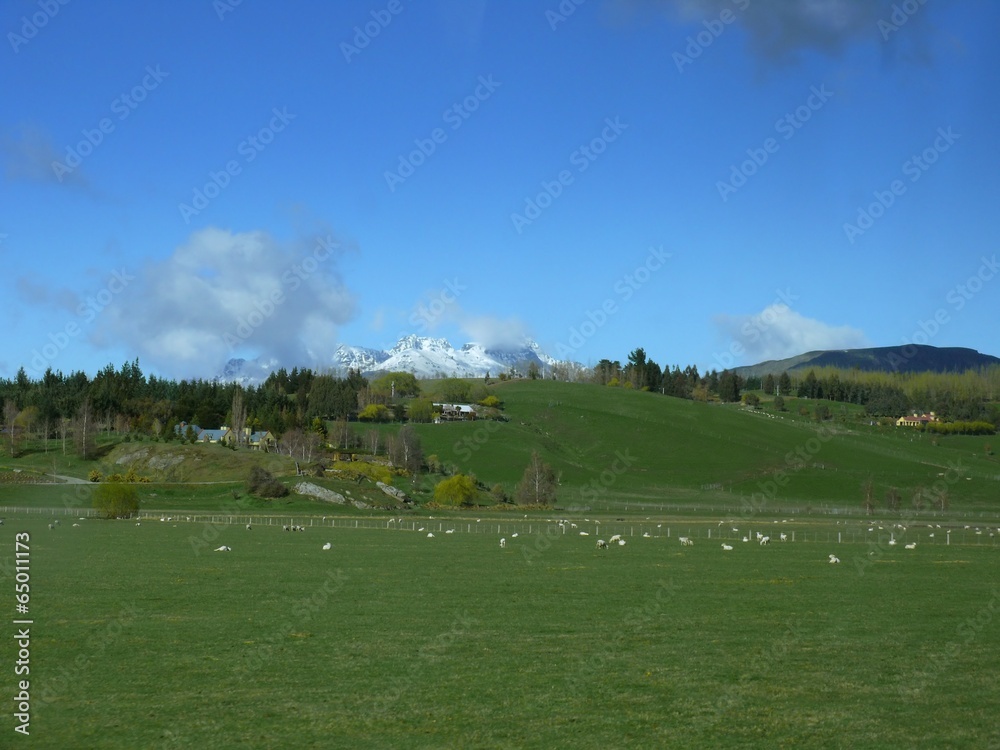 Fototapeta premium The image of beautiful nature