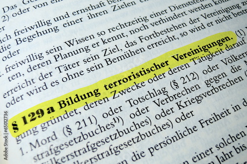Bildung terroristischer Vereinigungen