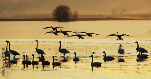 Photography The image of beautiful nature in China, Asia