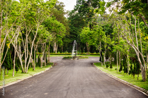 fountain in the park photo