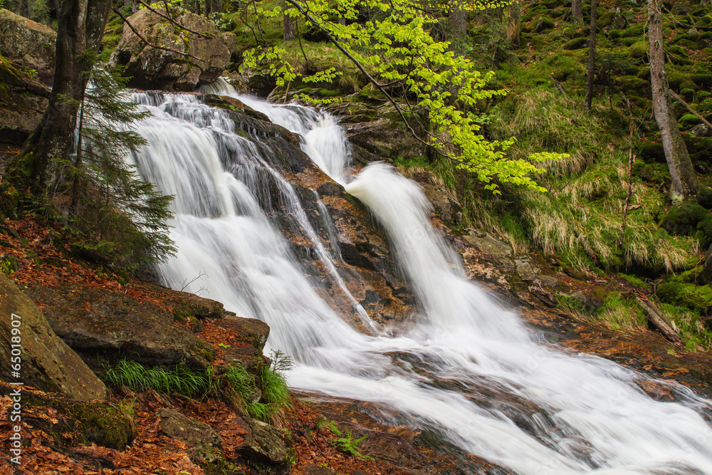 Fototapeta premium cascade on the river